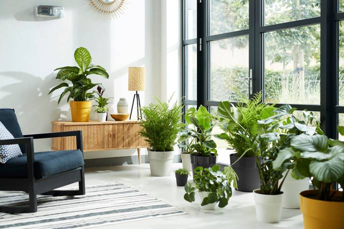 b.for original round 18cm white